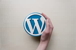 WordPress-Our Choice for Your Website